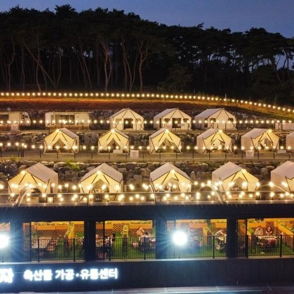 서산 고든남글램핑(충남 캠핑/글램핑/서산) - G마켓 여행